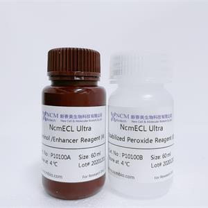超敏ECL化学发光试剂盒（NcmECL Ultra）