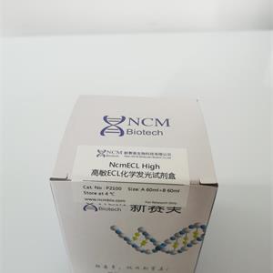高敏ECL化学发光试剂盒
