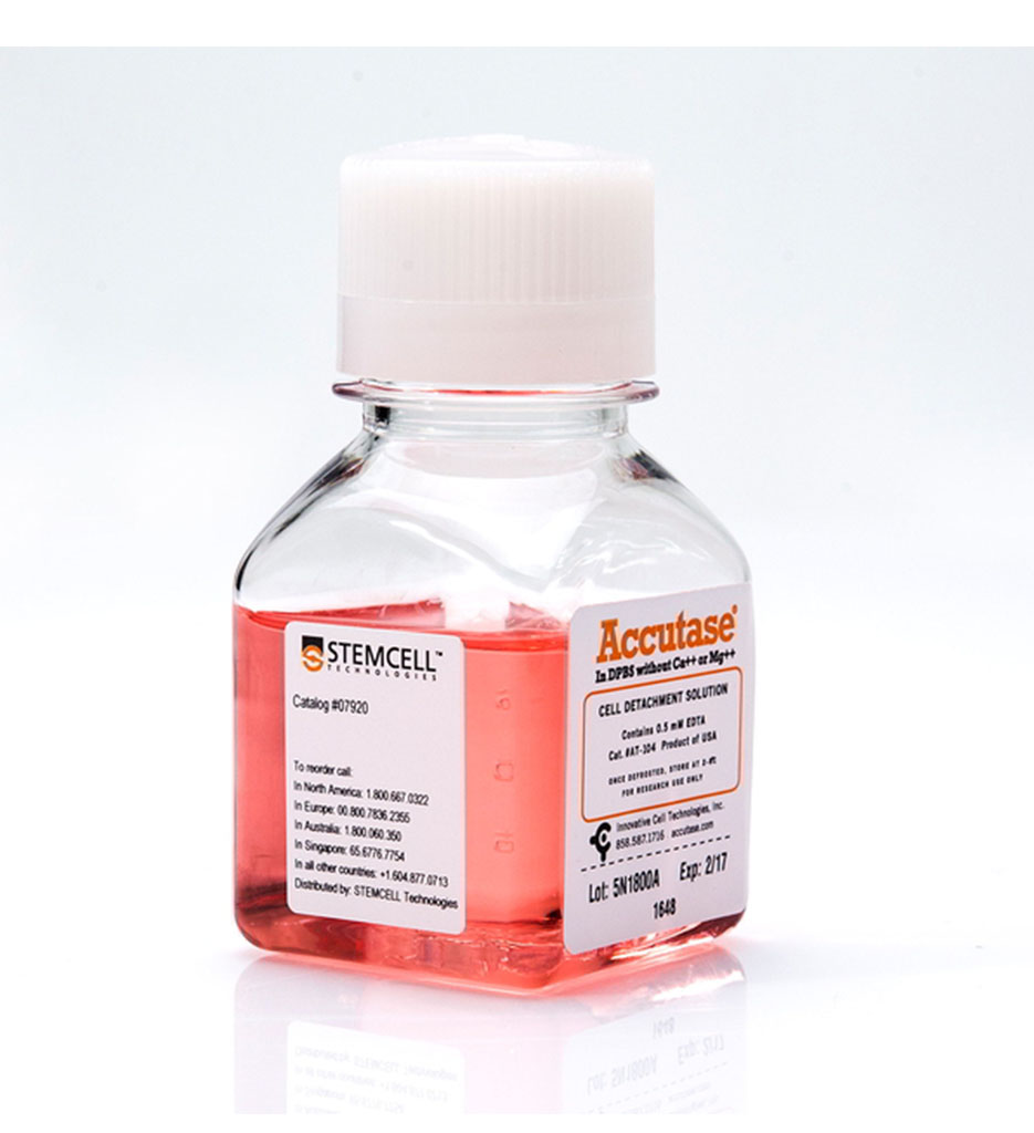 Accutase, 100mL