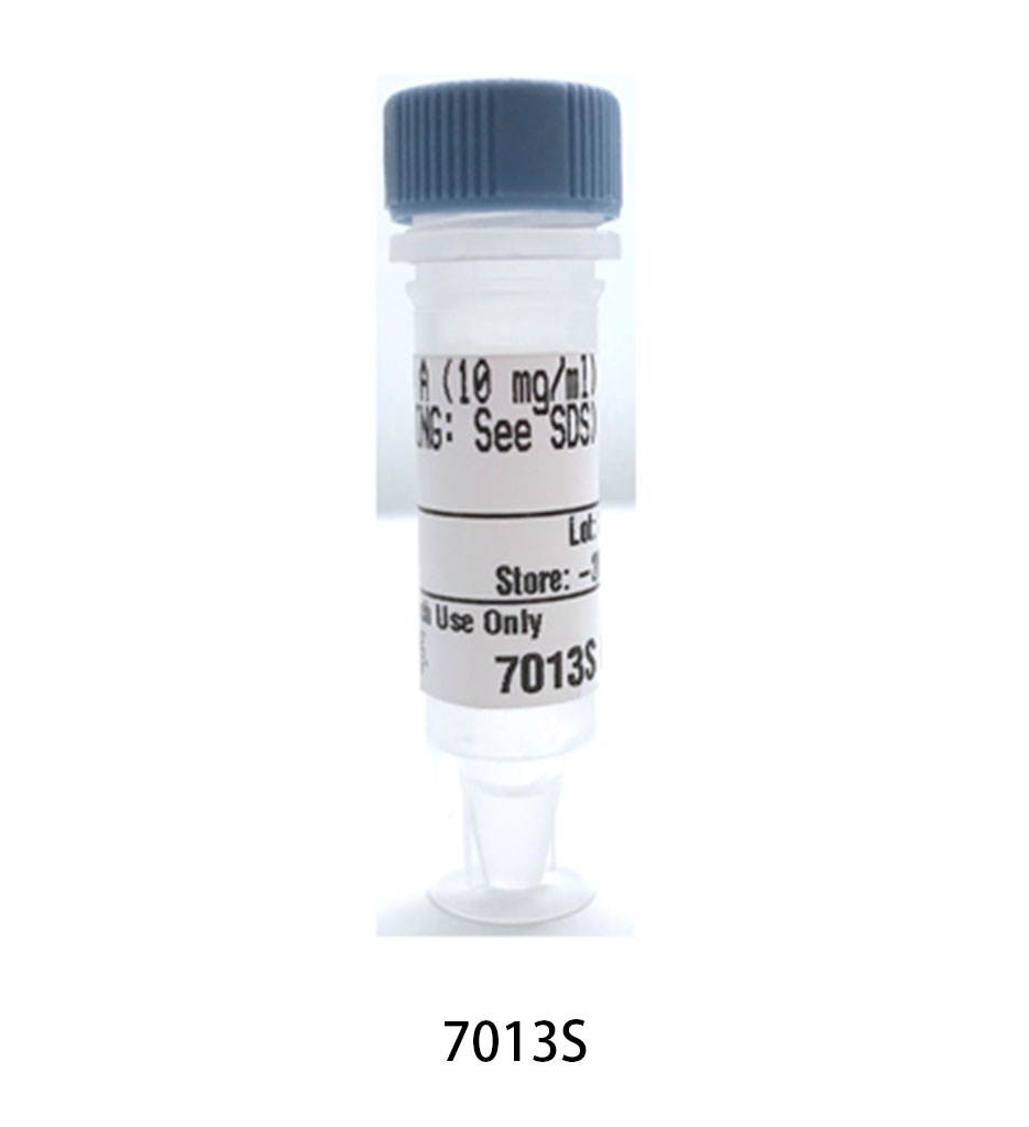RNAse A (10 mg/ml)