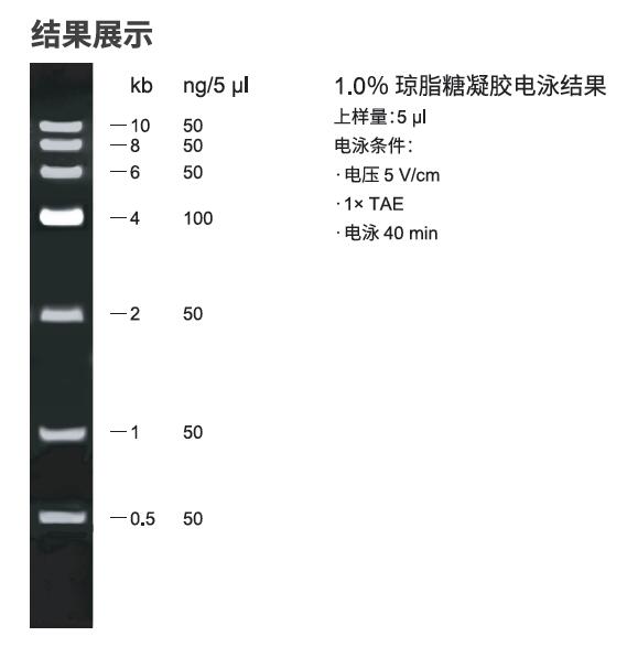 6kb  Plus DNA分子量标准