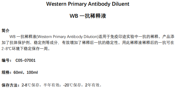 WB一抗稀释液