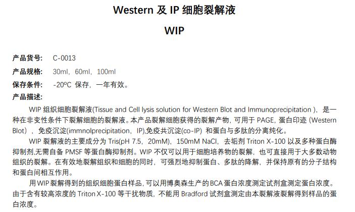 Western及IP细胞裂解液