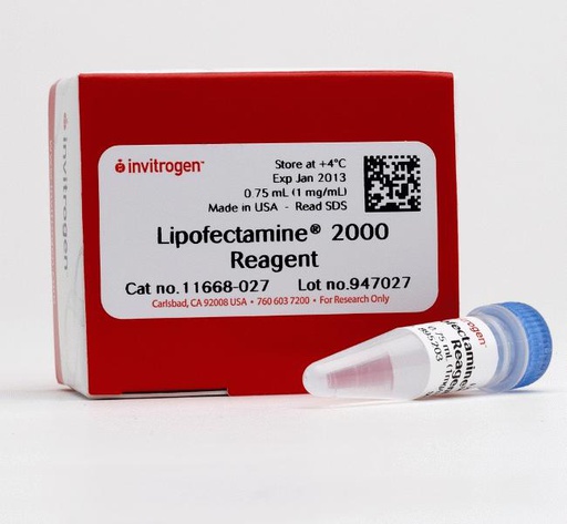 [101.11668027] Lipofectamine 2000 Transfection Reagent [0.75ml]