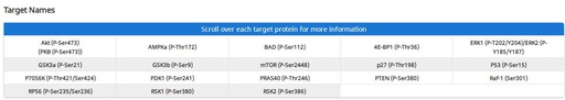 [009.AAH-AKT-1-8] Human/Mouse AKT Pathway Phosphorylation Array C1 [8 Sample Kit]