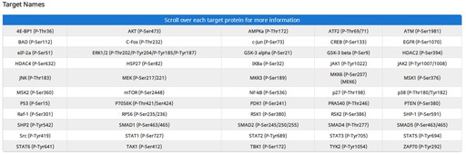 [009.AAH-PPP-1-2] Human Phosphorylation Pathway Profiling Array C55 [2 Sample Kit]
