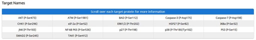 [009.AAM-APOSIG-1-2] Mouse Apoptosis Signaling Pathway Array C1 [2 Sample Kit]