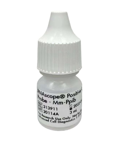 [085.313911] ACD_RNAscope Positive Control Probe _ Mu-PPIB [pk]