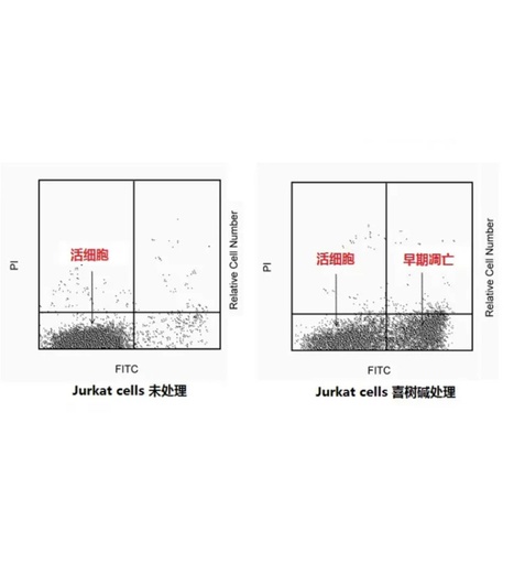 [022.556547] Annexin V FITC Apop Dtec Kit I 100Tst [PK]