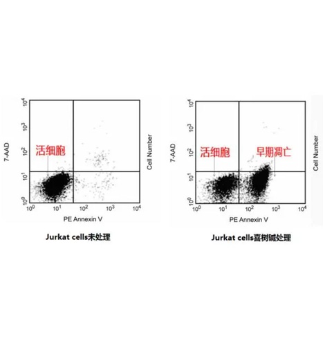 [022.559763] Annexin V PE Apop Dtec Kit 100Tst [PK]