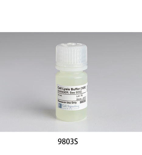 [003.9803S] Cell Lysis Buffer (10X) [15ml]