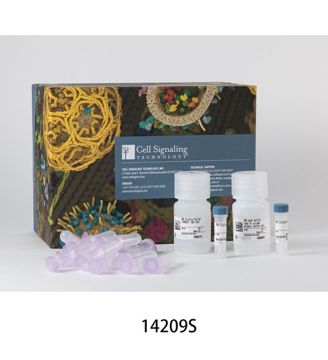 [003.14209S] DNA Purification Buffers and Spin Columns (ChIP  CUT&amp;RUN) [1Kit]