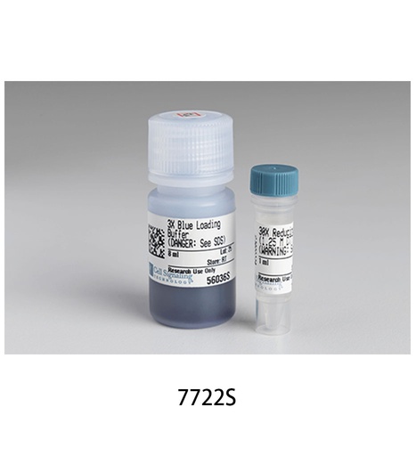 [003.7722S] Blue Loading Buffer Pack [1Pack]