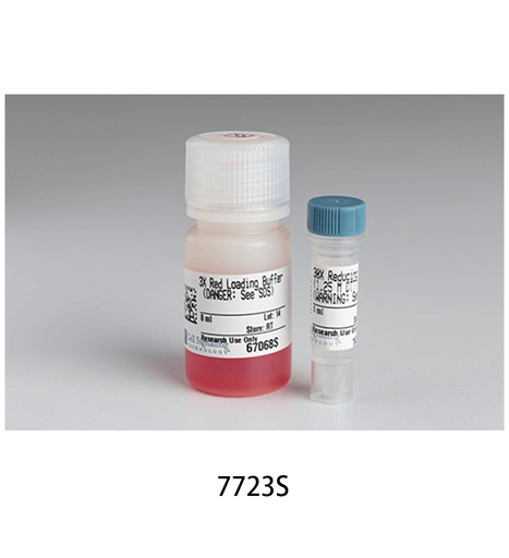 [003.7723S] Red Loading Buffer Pack [1Pack]