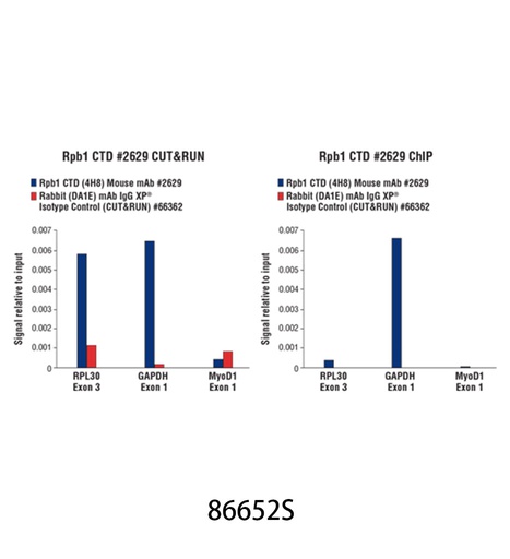 [003.86652S] CUT&amp;RUN Assay Kit [1Kit]