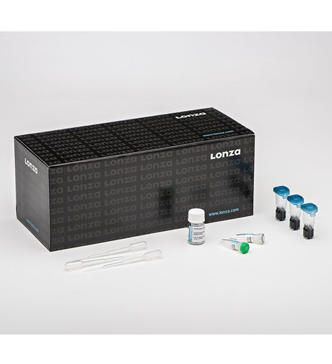 [150.V4XP-3024] P3 Primary Cell 4D X Kit L (24 RCT) [Kit]