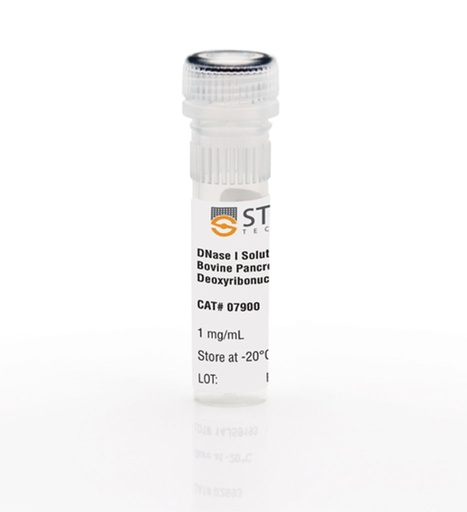 [010.07900] DNAse (1mg/mL), 1mL [1 mL]