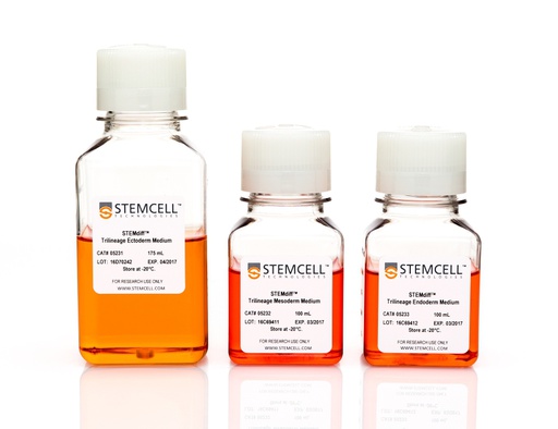 [010.05230] STEMdiff Trilineage Differentiation Kit [1 EA]