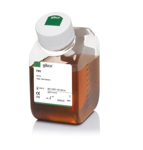 [101.10091148] Gibco Fetal Bovine Serum,Qualified,NZ, 澳洲胎牛血清 [500ml]