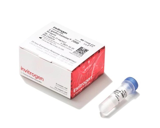[101.11668019] Lipofectamine 2000 Transfection Reagent, 1.5ml [1.5ml]