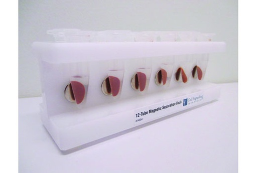 [003.14654S] 12-Tube Magnetic Separation Rack [1ea]