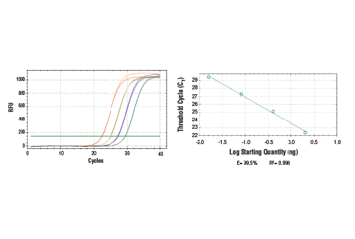 [003.88989P] SimpleChIP Universal qPCR Master Mix [1ml]