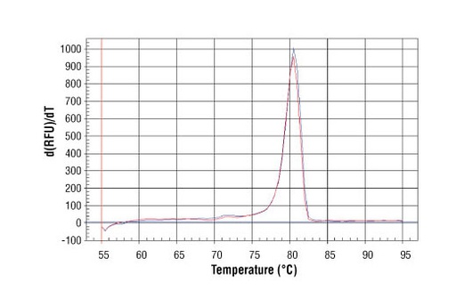 [003.4486S] SimpleChIP Human α Satellite Repeat Primers [500ul]