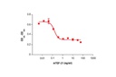 Mouse Transforming Growth Factor β1 (mTGF-β1)