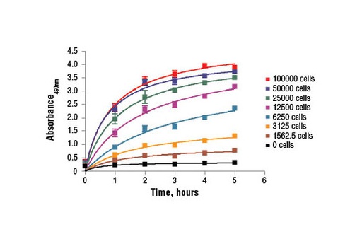 [003.9095S] XTT Cell Viability Kit [1Kit]