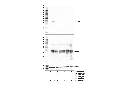 HLA-DRA (E9R2Q) XP Rabbit mAb