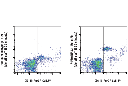 F4/80 (BM8.1) Rat mAb (violetFluor 450 Conjugate)