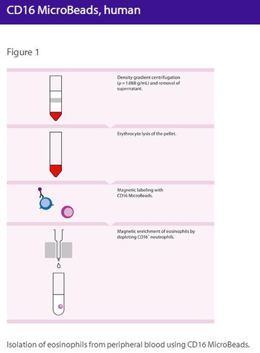 [044.130-045-701] CD16 MicroBeads, human [pk]