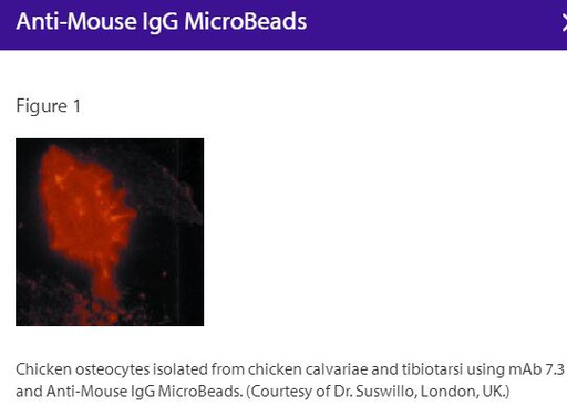 [044.130-048-401] Anti-Mouse  IgG(H+L)-Microbeads, 2 ml [2 ml]