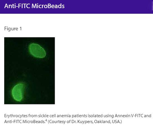 [044.130-048-701] Anti-FITC MicroBeads [pk]