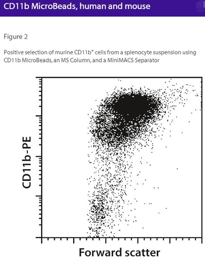 [044.130-049-601] CD11b MicroBeads, human, mouse [pk]