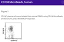 CD138 MicroBeads, human
