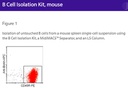 B Cell Isolation Kit, mouse