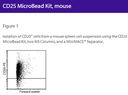 CD25 MicroBead Kit, mouse