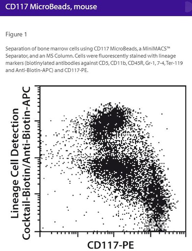 [044.130-091-224] CD117 MicroBeads, mouse [pk]