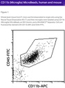 CD11b (Microglia) MicroBeads, h, m