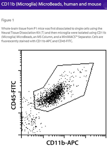 [044.130-093-634] CD11b (Microglia) MicroBeads, h, m [pk]