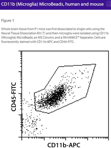 [044.130-093-636] CD11b(Microglia)MicroBead,h,m-Small Size [pk]