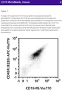 CD19 MicroBeads, mouse