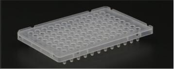 [155.MQ50101S] 96孔荧光定量PCR板，100 ul磨砂，半裙边，单切角（A1） [10/pk]