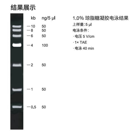 [155.ME40401S] 6kb  Plus DNA分子量标准 [500 ul]