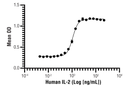 Human IL-2 Recombinant Protein