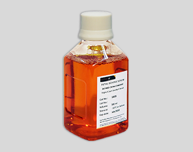 [256.SA211.02] CellMax优级胎牛血清（辐照） [500ml]