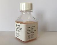 [256.CMS101.03] 去外泌体胎牛血清（澳洲） [50ml]