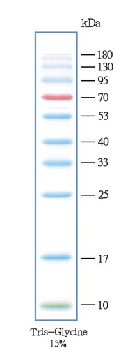 [116.C05-09002-10×250ul] 彩色预染蛋白marker（10-180kDa） [10×250ul]